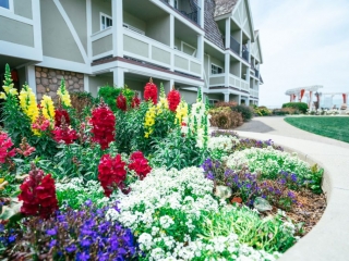 courtyard