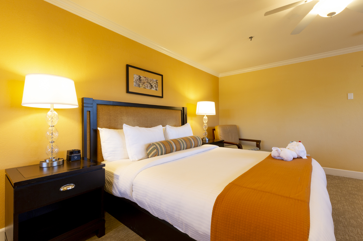 Standard King Room Carlsbad Beach Hotel