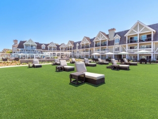 Courtyard- Loungers