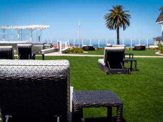 Courtyard Loungers