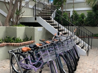 Beach Cruiser Activities