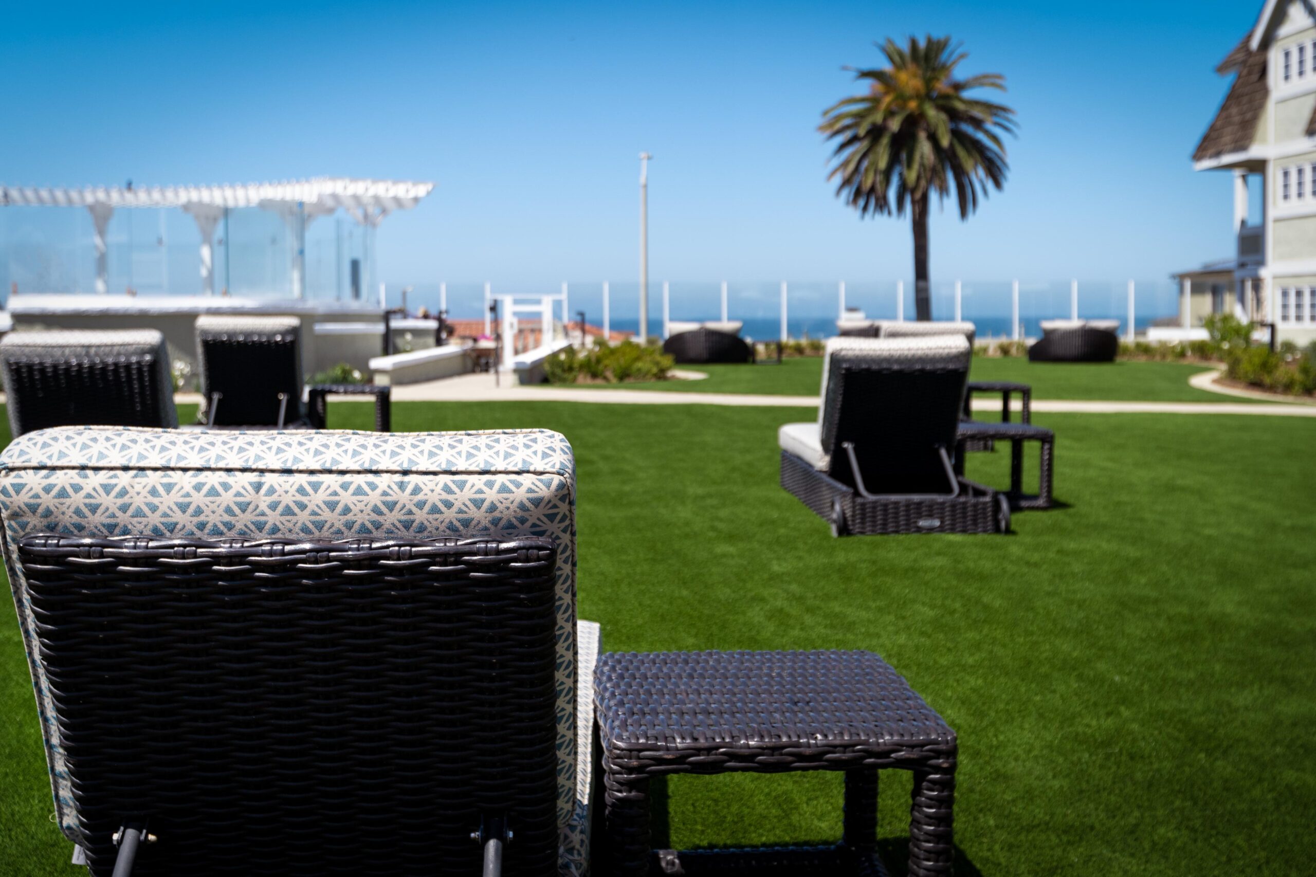 Courtyard Loungers